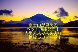 富士山が見えるペット可能な宿！大型犬まで大丈夫な一棟貸しコテージ！