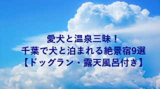 愛犬と温泉三昧！千葉で犬と泊まれる絶景宿9選【ドッグラン・露天風呂付き】