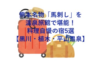 熊本名物「馬刺し」を温泉旅館で堪能！料理自慢の宿5選【黒川・植木・平山温泉】
